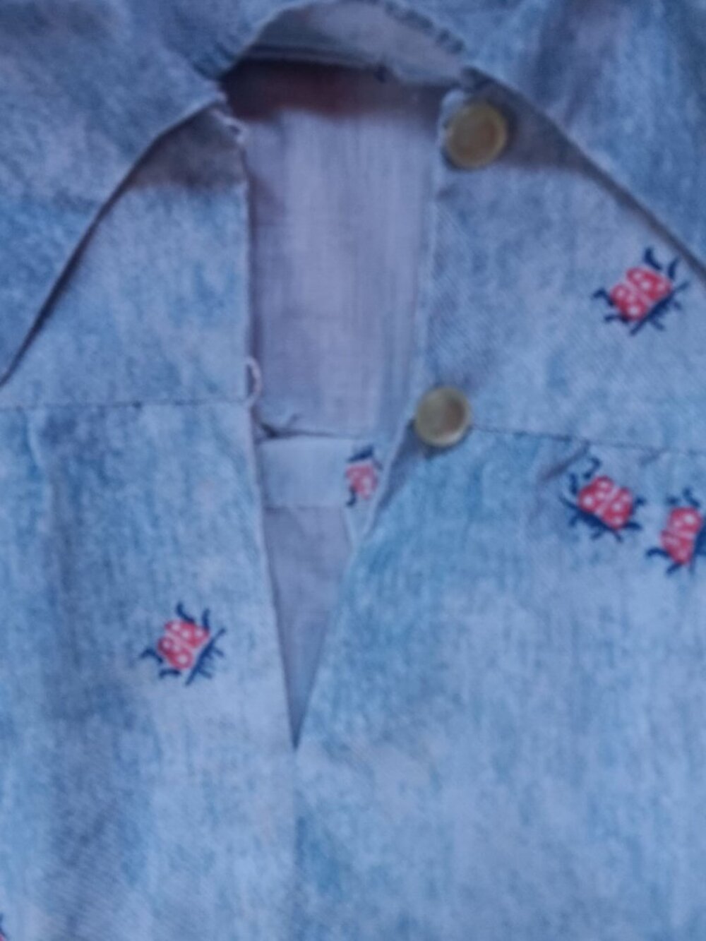 True Vintage Women's Medium Peasant Blouse 1970s Ladybug Handmade Pullover Moo